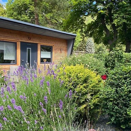 Das Ferienhaus Am Tiergarten Wernigerode Εξωτερικό φωτογραφία