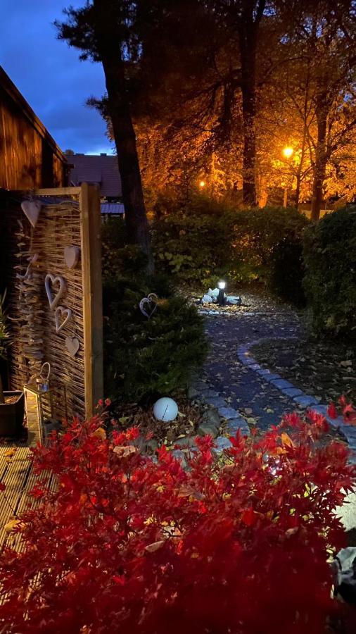 Das Ferienhaus Am Tiergarten Wernigerode Εξωτερικό φωτογραφία