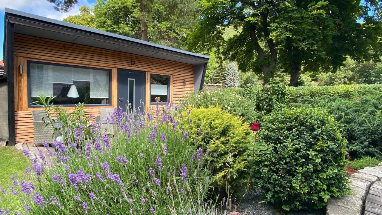Das Ferienhaus Am Tiergarten Wernigerode Εξωτερικό φωτογραφία